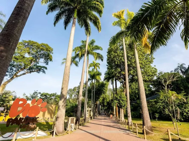 BioParque foi autorizado a retomar a visitação em áreas onde os animais infectados não estavam (Divulgação)