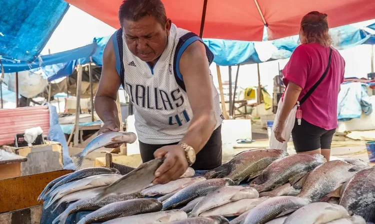 Setores de pescados e cítricos apontam primeiros impactos de medidas de Trump (Rafa Neddermeyer/Agência Brasil)