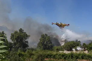 Incêndio florestal avança pela areia e obriga banhistas a fugir de praia na Itália; veja vídeo