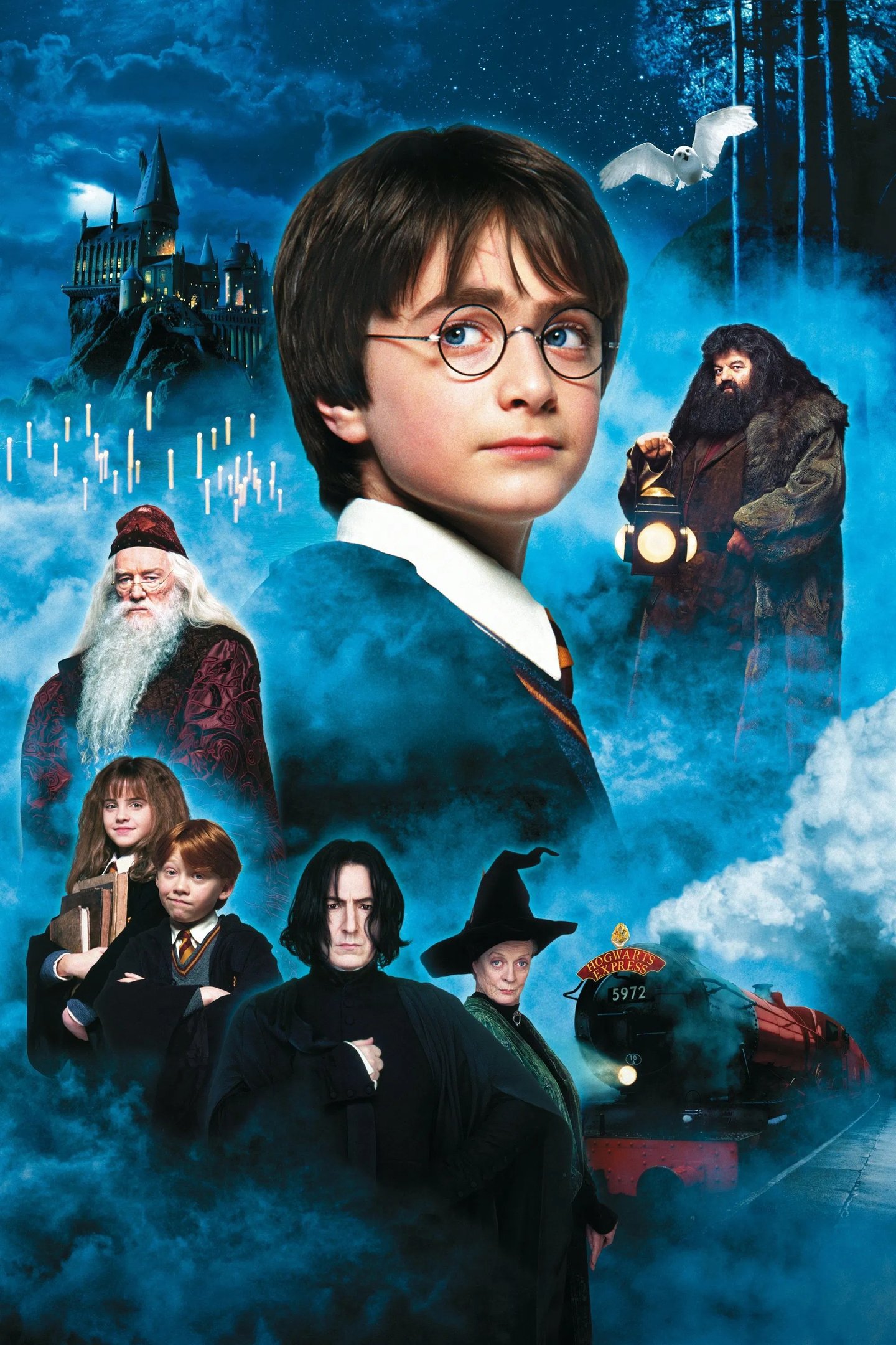 Onde assistir à Saga 'Harry Potter'?
