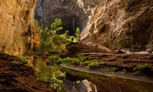 Imagem referente à matéria: Em Minas Gerais, parque nacional é reconhecido como patrimônio da Unesco