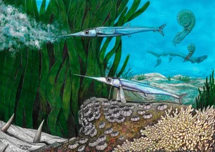 Imagem referente à matéria: Pesquisadores brasileiros descobrem nova espécie de peixe pré-histórico na Antártica