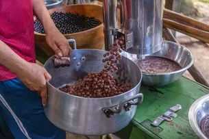 Após veto ao açaí e alimentos locais, audiência da COP30 seleciona produtores paraenses