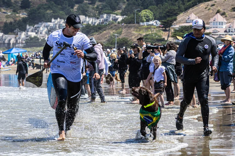 Campeonato Mundial de Surf Dog: Brasil somou três medalhas de ouro, uma de prata e uma de bronze (Acervo família Surf Dog/Divulgação)
