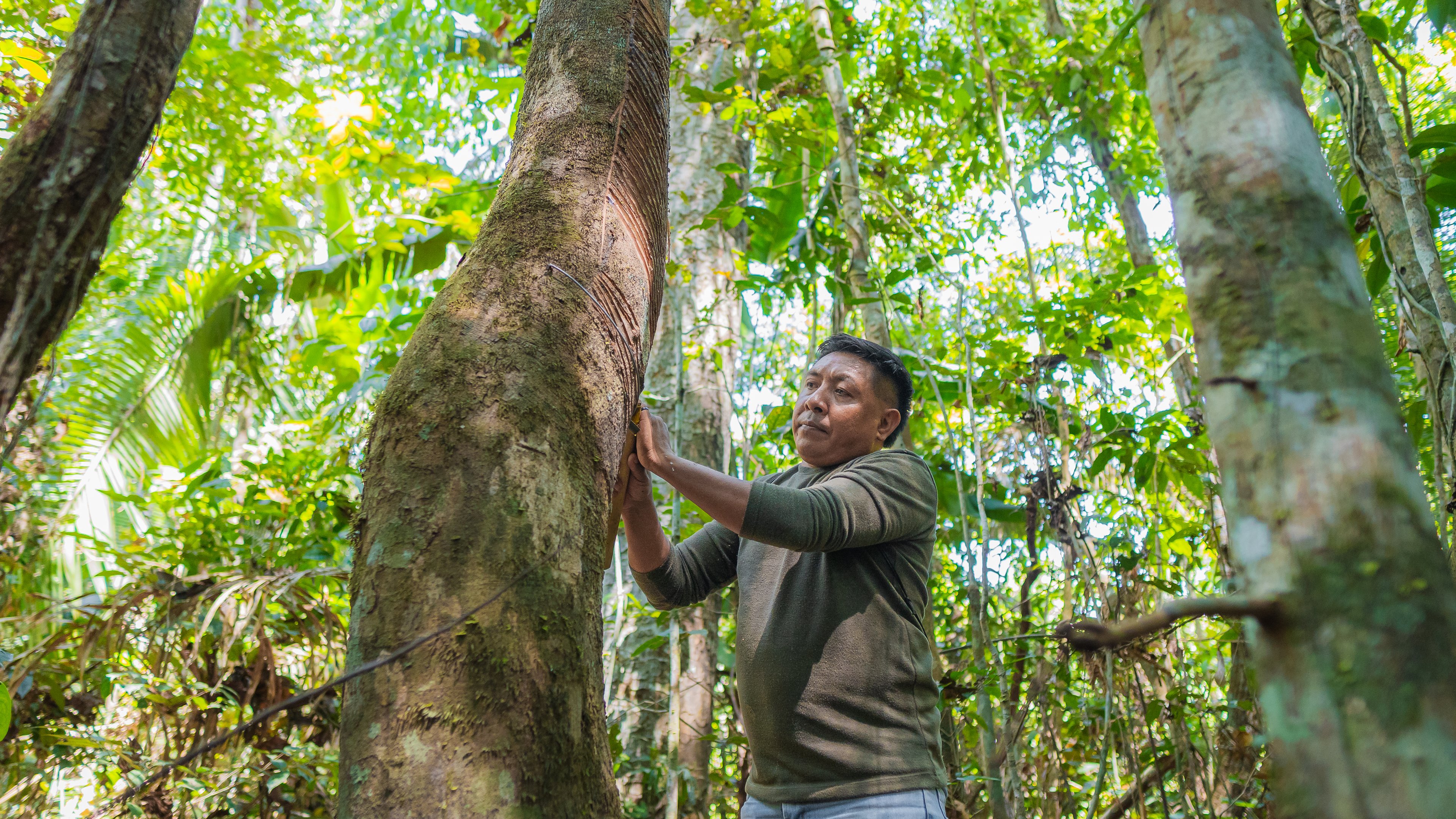 Como a Mercur gera renda para comunidades tradicionais e protege a Amazônia