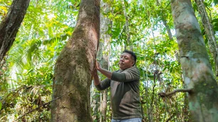 Imagem referente à matéria: Como a Mercur gera renda para comunidades tradicionais e protege a Amazônia