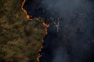 Licenciamento ambiental: Governo publica MP para licença especial com prazo de 12 meses