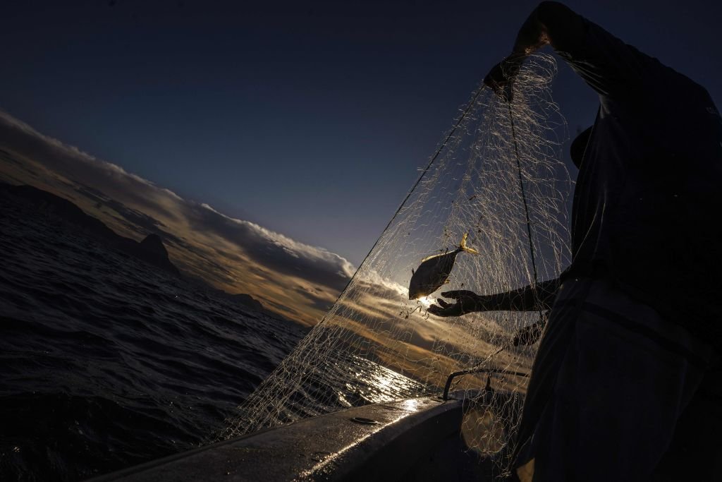 'Com tarifaço dos EUA, é inviável continuar exportando', diz empresário do setor de pescados