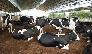 Danone renova certificação B Corp e reforça compromisso com saúde e sustentabilidade