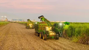 Usina mineira de cana-de-açúcar capta R$ 21 milhões com FIDC para financiar produtores rurais