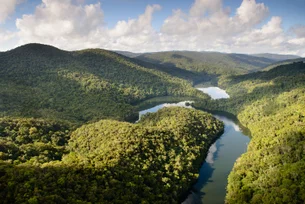 Esta gigante de cosméticos vai instalar um laboratório na maior reserva de Mata Atlântica do país