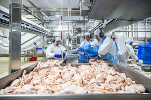 União Europeia retomará compra de frango depois de reconhecer Brasil como livre de gripe aviária