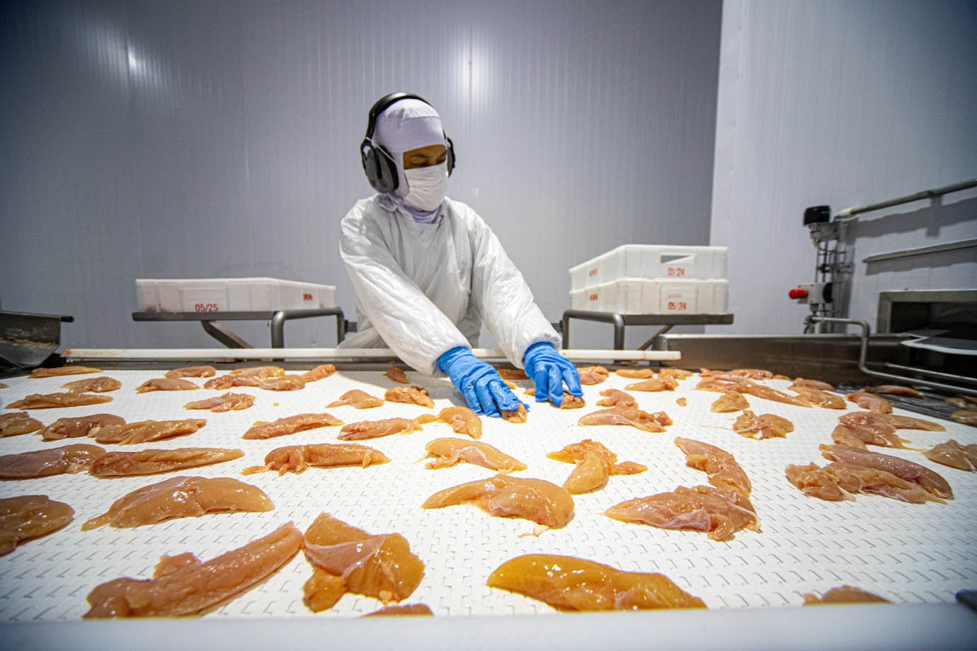 Aurora Alimentos - unidade de produção de frangos em Chapecó, Santa Catarina industria alimenticia, alimentos, proteina animal, frigorifico


Foto: Leandro Fonseca
Data: 05/08/2025