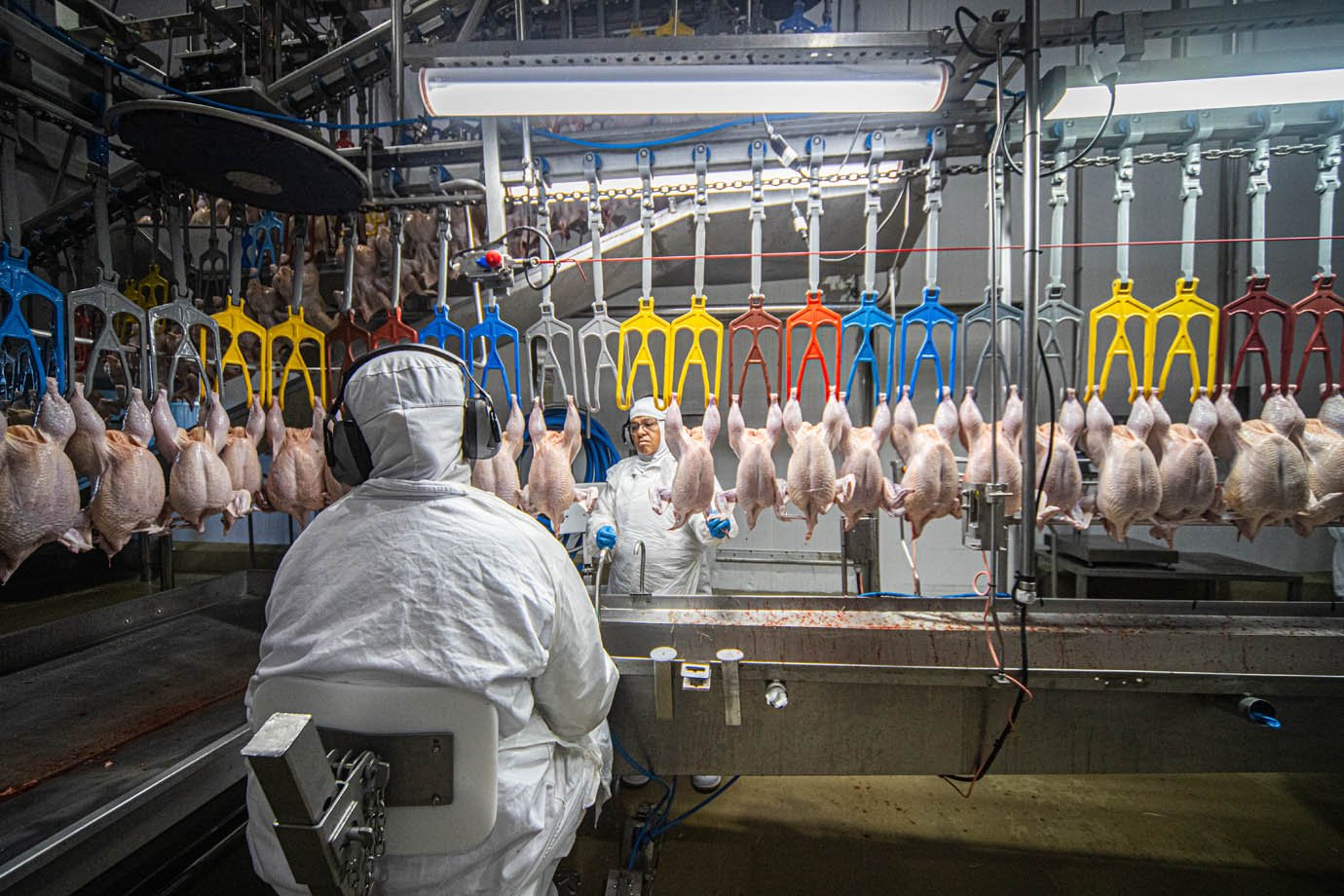 Aurora Alimentos - unidade de produção de frangos em Chapecó, Santa Catarina industria alimenticia, alimentos, proteina animal, frigorifico


Foto: Leandro Fonseca
Data: 05/08/2025