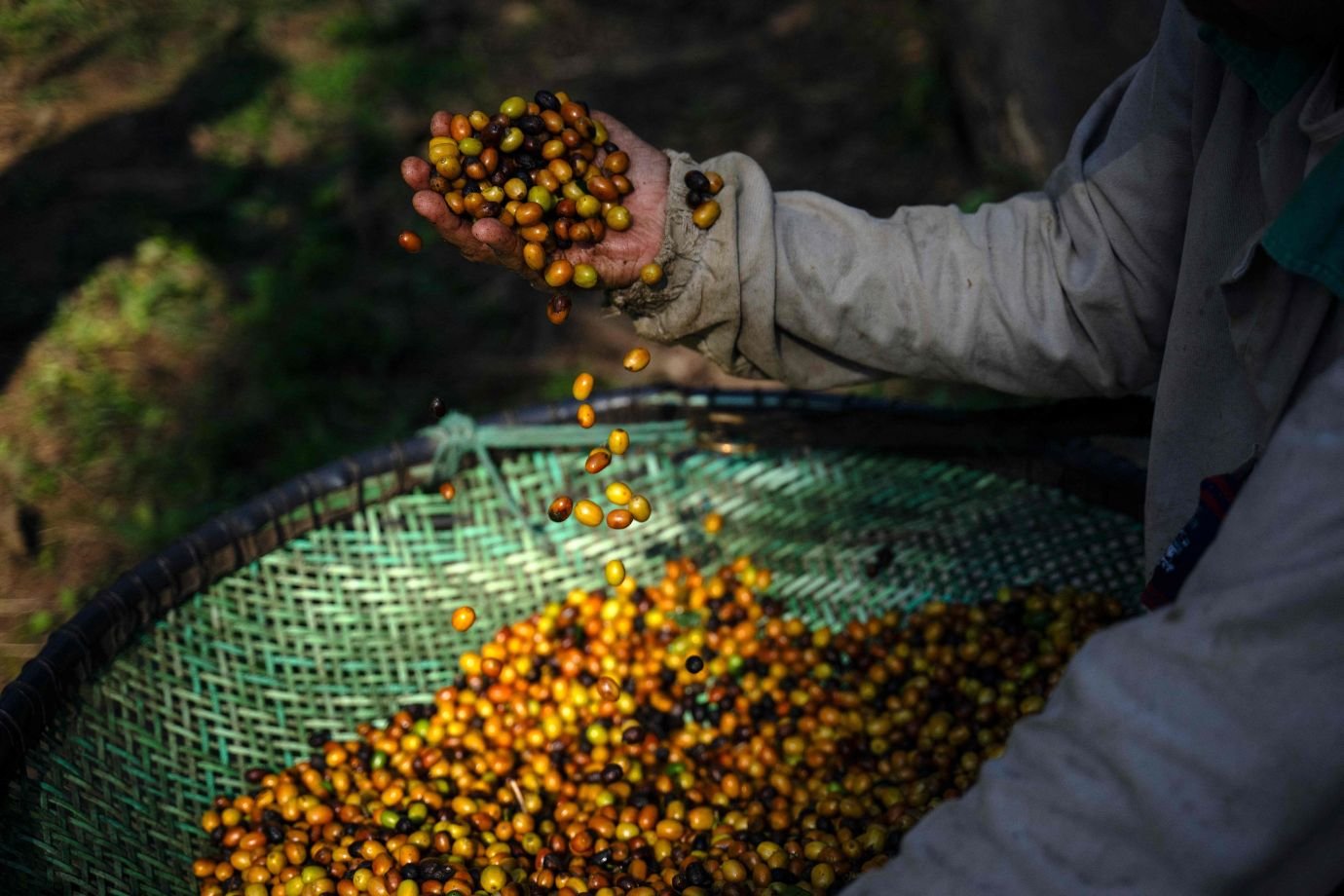 Setores reagem a tarifas dos EUA e pressionam por retirada dos 40%