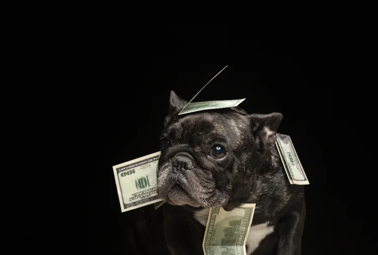 Dólar: moeda tem queda frente ao real (Gorlov/Getty Images)