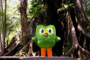 Imagem referente à matéria: Duolingo leva mascote à região amazônica em campanha às vésperas da COP30