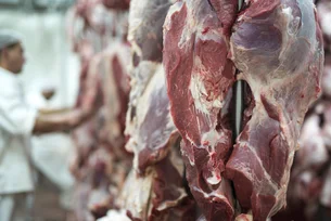 Exportações de carne bovina do Brasil batem recorde em julho e avançam 17% antes do tarifaço