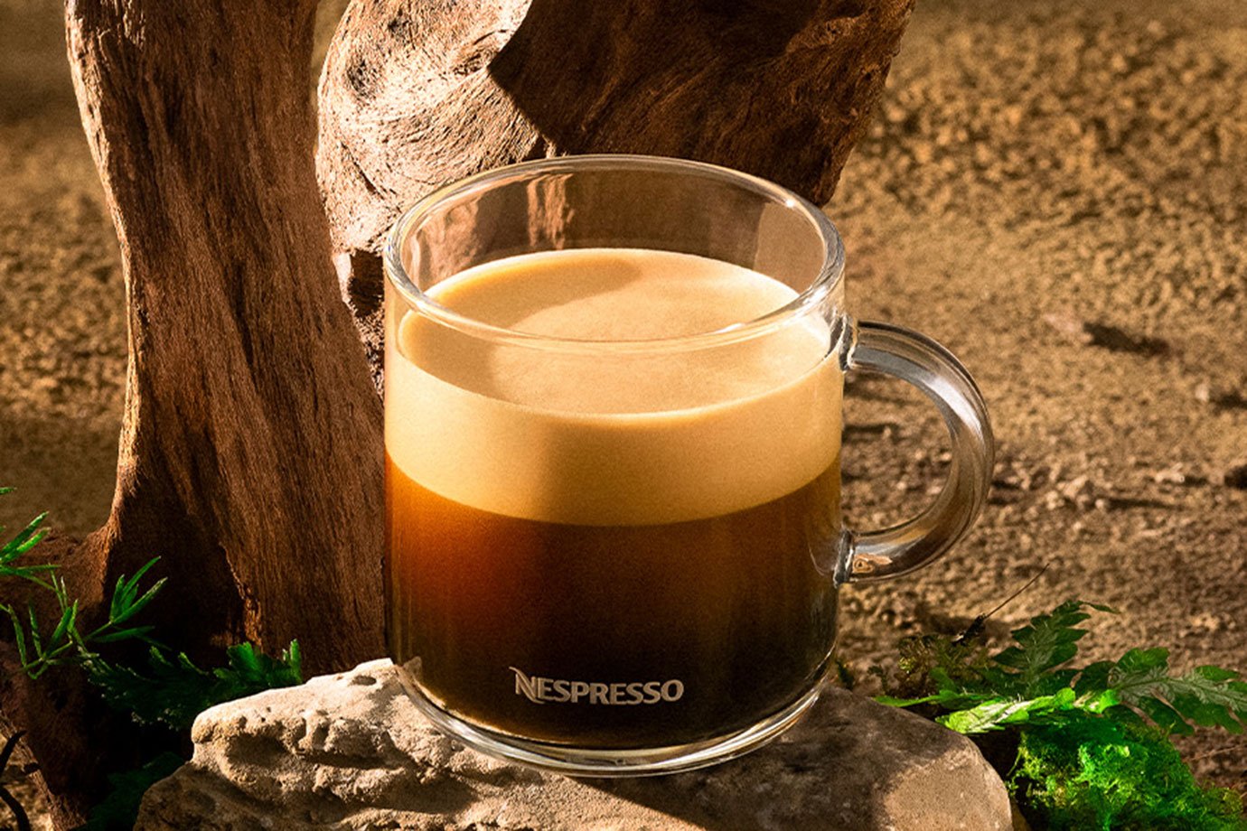 Café Nespresso