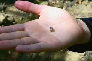 Imagem referente à matéria: Persistência recompensada: mulher acha diamante de 2,3 quilates em parque dos EUA