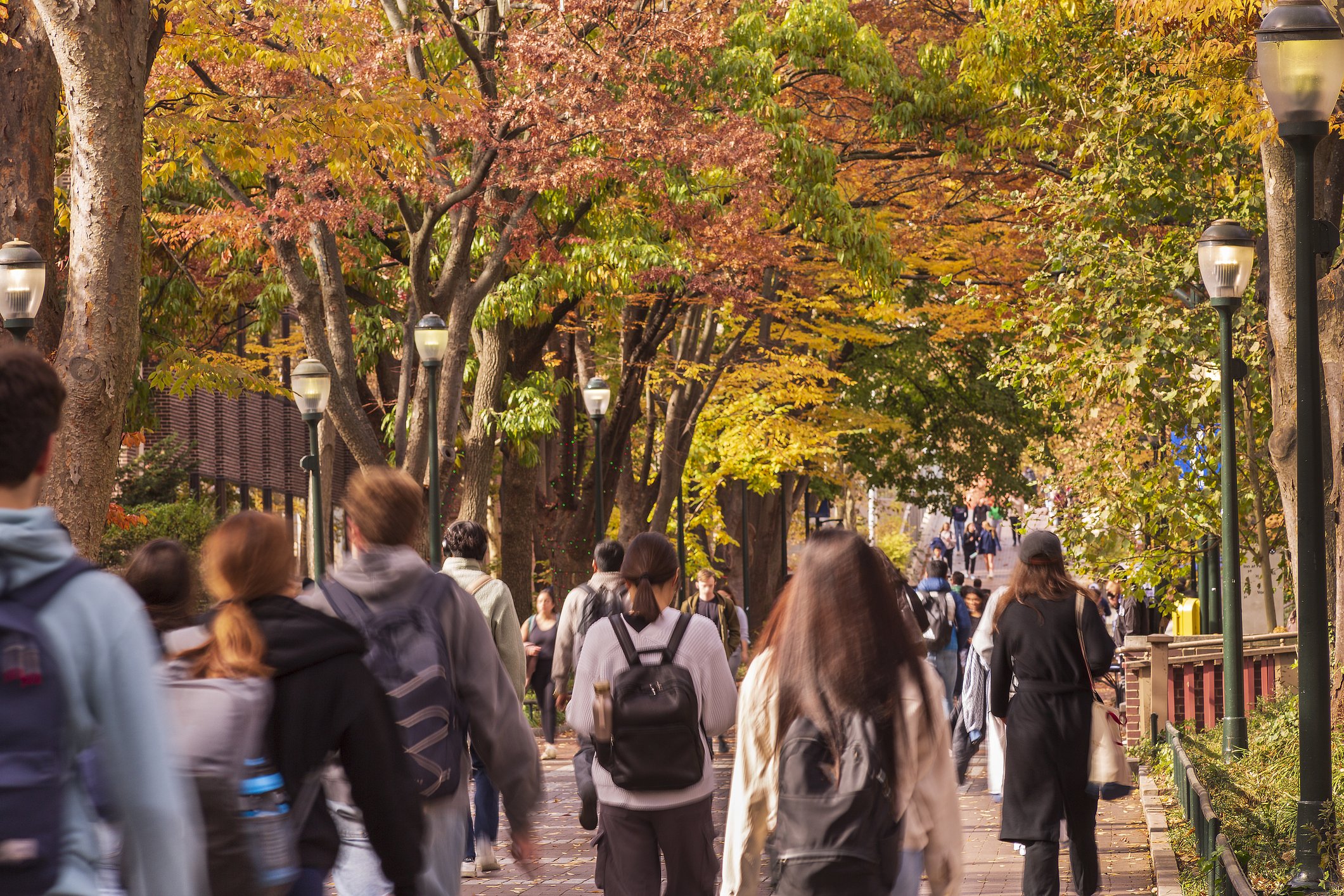 Chegada de estudantes com visto nos EUA tem queda de 28% em um ano