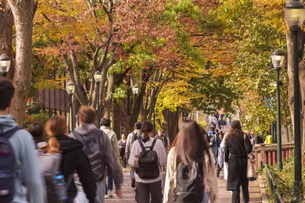 Chegada de estudantes com visto nos EUA tem queda de 28% em um ano