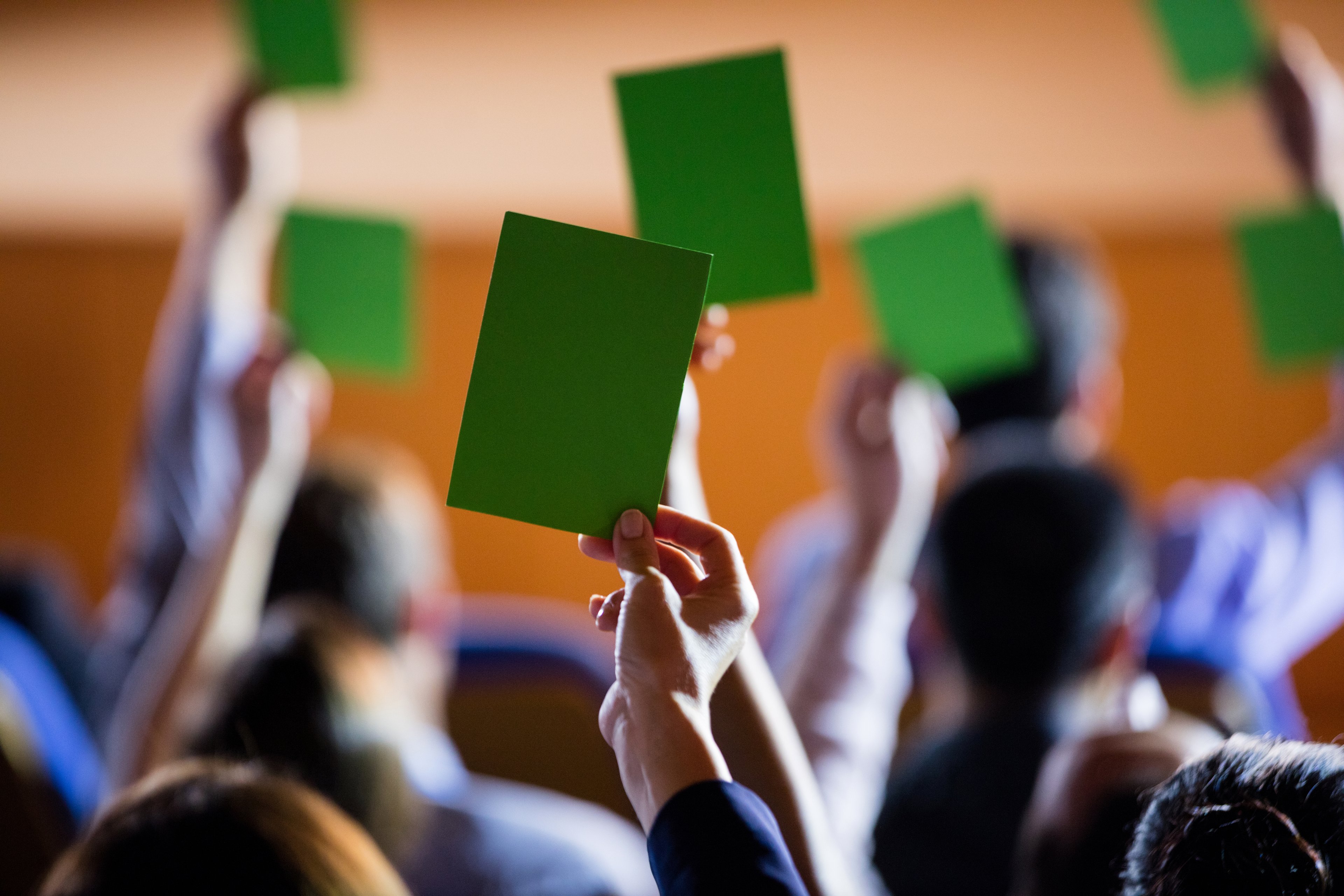 O voto verde e o risco do ‘greenlash’