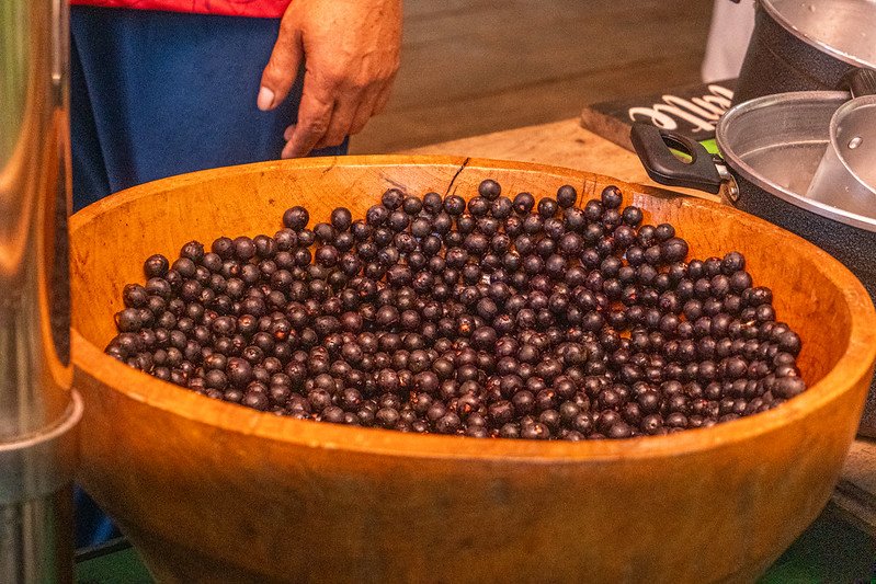 Em Barcarena, parceria transforma caroço de açaí em energia limpa para abastecer indústria