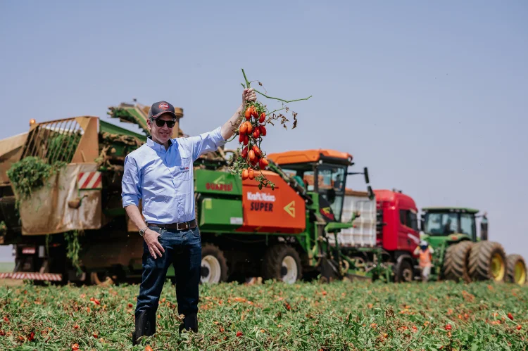Ariel Grunkraut, presidente da Kraft Heinz Brasil: “Pela primeira vez, desde o ano passado, 100% do ketchup Heinz vendido no Brasil é feito com tomates brasileiros” (Evandro Bueno/Divulgação)