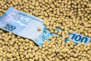Imagem referente à matéria: Opinião: fiagros são veículos estratégicos para investimentos no agronegócio brasileiro