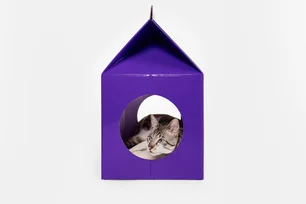 Imagem referente à matéria: Petlove lança primeira coleção própria e reverte 100% do lucro para ONG animal