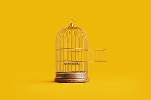 Carreira com valuation: como construir valor além do cargo e evitar a 'gaiola de ouro'