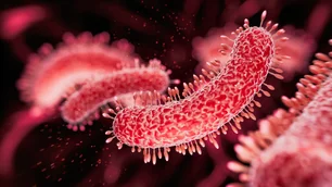 Imagem referente à matéria: Cientistas criam primeiros vírus baseados em IA. O próximo passo? Desenvolver novas formas de vida