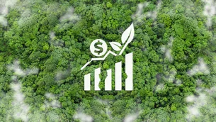 Brasil pode liderar exportação global de créditos de carbono, revela PwC