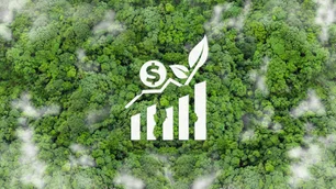 Imagem referente à matéria: Brasil pode liderar exportação global de créditos de carbono, revela PwC
