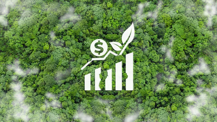 O mercado de carbono surge como uma ferramenta essencial para financiar ações e projetos verdes e reduzir emissões de gases de efeito estufa (Getty Images)