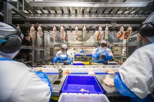 Imagem referente à matéria: China retira proibições e reabre mercado ao Brasil após gripe aviária