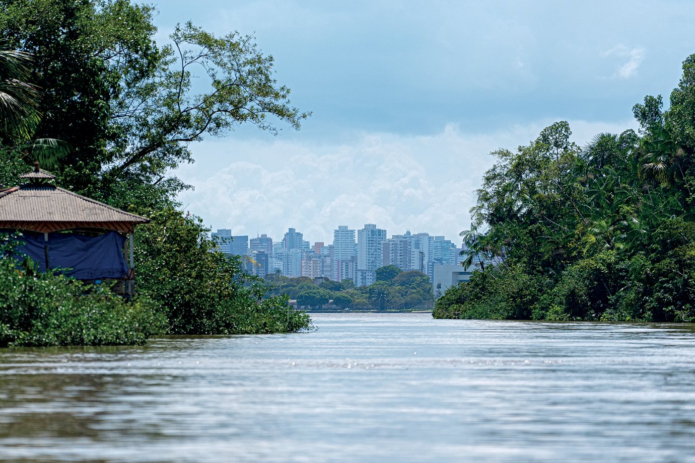 Fundo de florestas tropicais se consolida como aposta mais verde da COP30