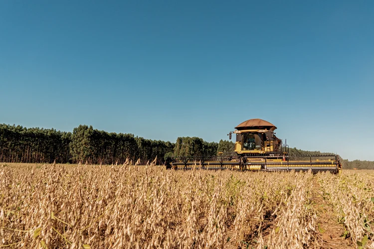 O agronegócio brasileiro precisou lidar com problemas  de safra causados pelas condições climáticas (Alexis Prappas/Exame)