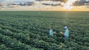 Imagem referente à matéria: SLC Agrícola lança maior projeto de mensuração de carbono do agro brasileiro