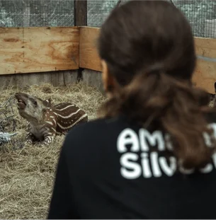 Opinião: terceiro setor ainda precisa mostrar que causa animal não é ‘hobby’