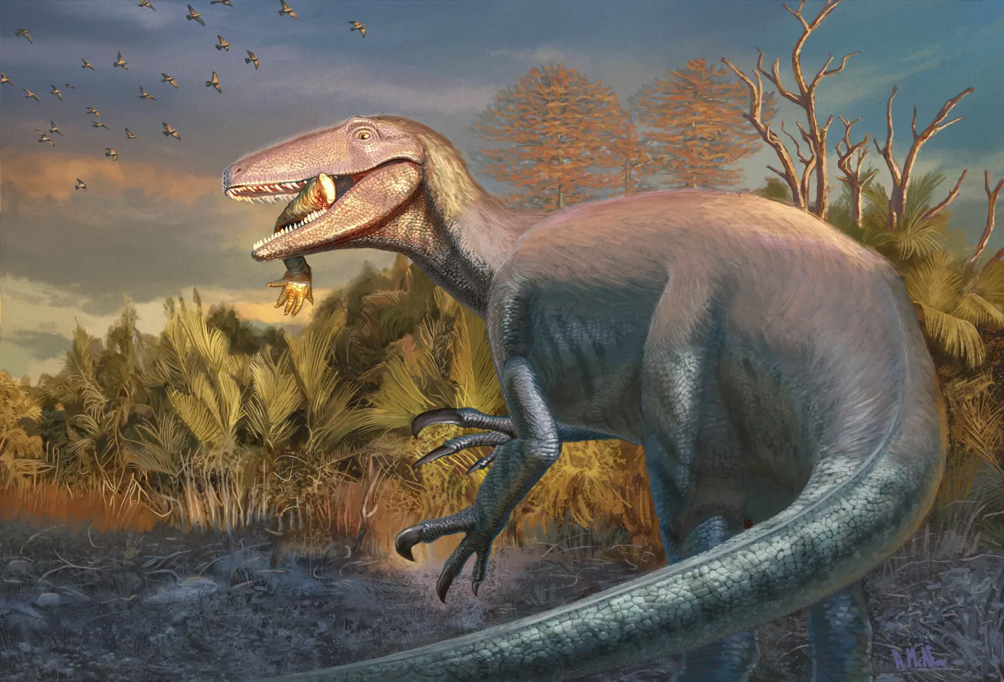 Novo dinossauro é descoberto na Argentina — com um osso de 'crocodilo' na boca