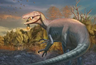 Imagem referente à matéria: Novo dinossauro é descoberto na Argentina — com um osso de 'crocodilo' na boca