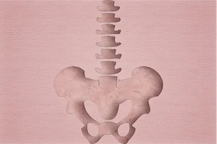 Imagem referente à matéria: Como funciona medicamento criado por brasileiros que pode ajudar paraplégicos e tetraplégicos