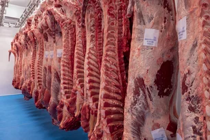 Imagem referente à matéria: Carne bovina: mais 17 frigoríficos são liberados a exportar para quarto país mais populoso do mundo