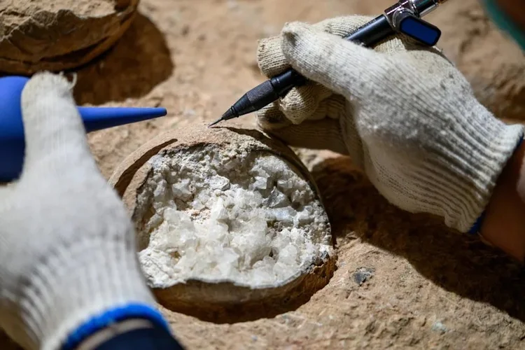 Ovos de dinossauro: estudo revela como foram postos há 85 milhões de anos (Dr. Bi Zhao/Reprodução)