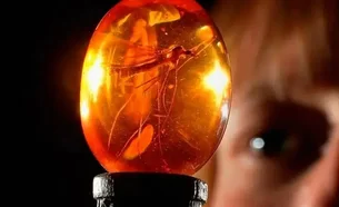 ‘Jurassic Park’ da vida real: âmbar equatoriano revela floresta perdida do tempo dos dinossauros