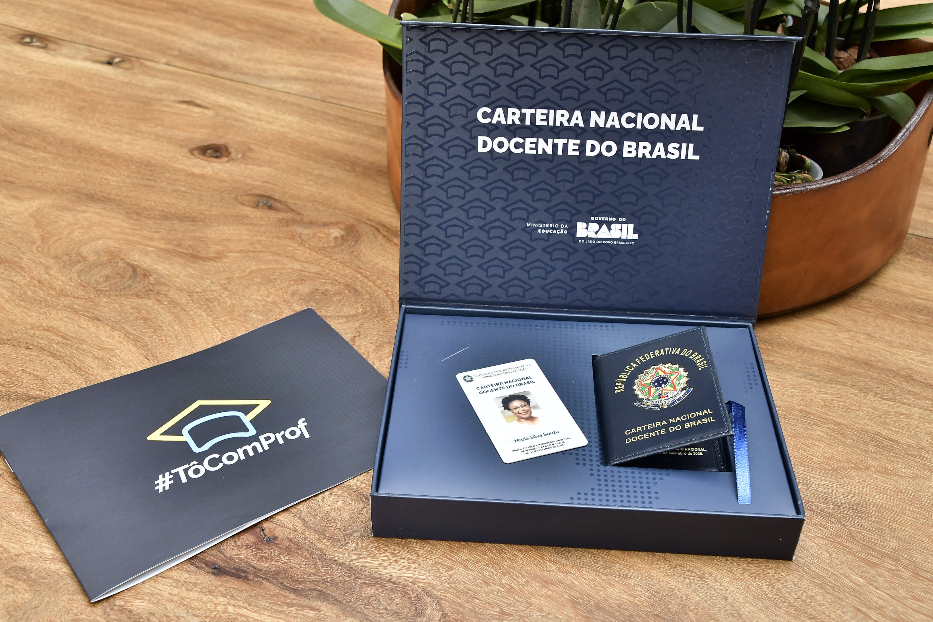 Carteira Nacional do Docente é uma medida de valorização profissional, diz especialista