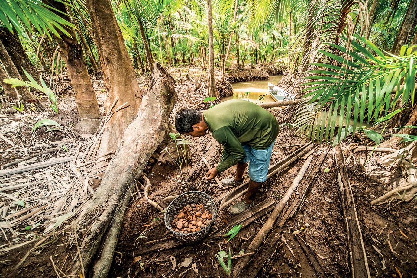 Do Pará ao Vietnã, o legado empresarial na COP30