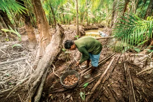 Imagem referente à matéria: ‘Recurso finalmente vai chegar na ponta’, diz enviado especial de Florestas sobre TFF